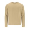 Sweat-Shirt Adulte - Cosmos