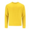 Sweat-Shirt Adulte - Cosmos