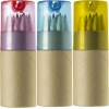 Tube cartonné de 12 crayons Terrence