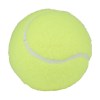 Ballons de Padel Pro