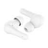 Belkin SoundForm Rhythm True Wireless Earbuds