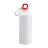 Gourde en aluminium avec mousqueton, 500 mL