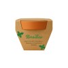 Pot en terre cuite naturelle avec tourbe et capsule biodegradable contenant des graines