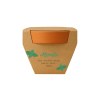 Pot en terre cuite naturelle avec tourbe et capsule biodegradable contenant des graines