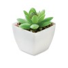 Mini plante artificielle - ARTIGRAP