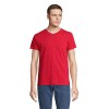 REGENT V TEE-SHIRT COL V - REGENT V