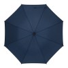Parapluie automatique BLIZZARD