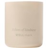 Bougie parfumée Wellmark