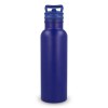 Bouteille isotherme Dario 500 ml