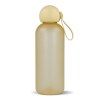 Bouteille d'eau Sagaform Tom 650 ml