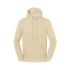 Sweat capuche 250