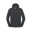Sweat capuche 250