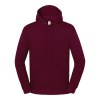 Sweat-shirt à capuche Iconic 250