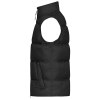 Bodywarmer matelassé RPET hiver Homme Daiber