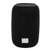 CaraBeat Enceinte sans fil en RABS