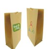 Sac en papier grand format (45x36x13cm)