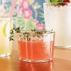 Verre Chiquito (230ml/8oz)