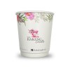 Tasse en papier biodégradable à double paroi (230ml/8oz)
