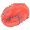 Coeur anti-stress avec veines