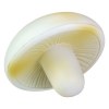 Champignon anti-stress