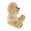 Ours peluche 15 cm (+Transfert DTF QF11)
