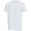 T-shirt unisexe en coton bio certifié OCS Balfour à manches courtes et col en V de 200 g/m²