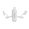 Câble 100W porte-clés 4-en-1 Urban Vitamin Dublin