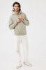 Sweat à capuche en coton recyclé IQONIQ Joshua