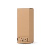VINGA Bouteille Isotherme 600ml Cael en acier RCS