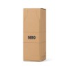 VINGA Bouteille Iso avec dragonne 500ml Niro en acier RCS