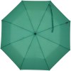 Parapluie pliable Agnes 21 pouces à ouverture automatique en RPET