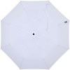 Parapluie pliable Agnes 21 pouces à ouverture automatique en RPET