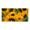 Sproutworld Sharpened Pencil & Header Card crayon taillé