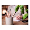Sproutworld Unsharpened Pencil & Header Card crayon non taillé