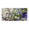 Sproutworld Unsharpened Pencil & Header Card crayon non taillé
