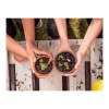 Sproutworld Unsharpened Pencil & Header Card crayon non taillé