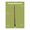 Sproutworld Unsharpened Pencil & Header Card crayon non taillé