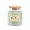 Bougie en jarre 145g (50H)