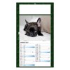 PLAQUE 1 VUE REX 2027 - EURO BLOC - BLOC AGRAFE - MARQUAGE QUADRI