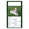 PLAQUE 1 VUE REX 2027 - EURO BLOC - BLOC AGRAFE - MARQUAGE QUADRI