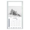 PLAQUE 1 VUE JULIETTA 2027 - EURO BLOC - BLOC AGRAFE - MARQUAGE QUADRI