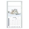 PLAQUE 1 VUE JULIETTA 2027 - EURO BLOC - BLOC AGRAFE - MARQUAGE QUADRI
