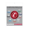 MARIANNE 2027 - STANDARD 405 X 550 MM - ROUGE - LEGER - DOS REGIONS - MARQUAGE QUADRI R/V IDENTIQUES