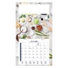 PLAQUE 1 VUE PHYTO 2027 - EURO BLOC - BLOC AGRAFE - MARQUAGE QUADRI