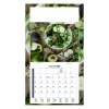 PLAQUE 1 VUE DIET 2027 - EURO BLOC - BLOC AGRAFE - MARQUAGE QUADRI