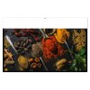 ARTISTES 2027 - MAXI 650 X 405 MM - LEGER - DOS MONDE - 1 TROU EN TETE - MARQUAGE QUADRI R/V DIFFÉRENTS