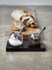 Set sel et poivre Planet