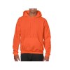 Sweat capuche 270
