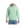 Sweat capuche 270