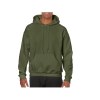 Sweat capuche 270